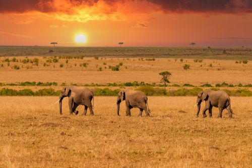 Kenya