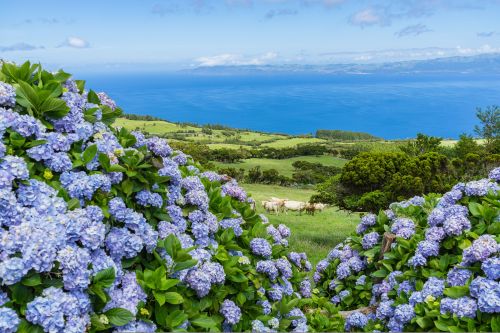 Açores