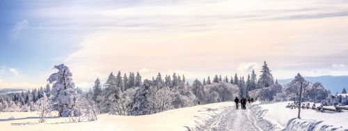 Schwarzwald