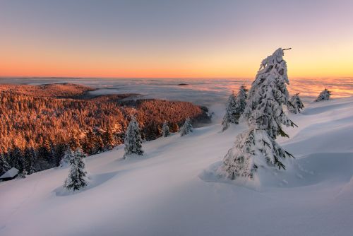 Schwarzwald