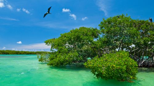 Mexico – Belize – Guatemala