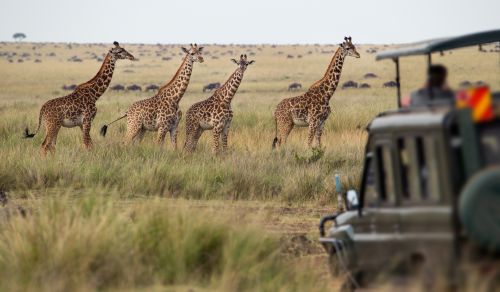 Sambia & Botswana