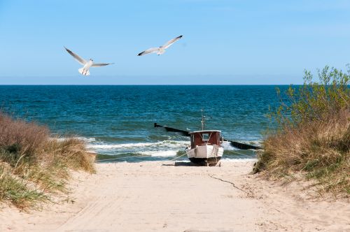 Wandern auf Wollin, Usedom und Rügen