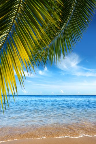 Maßgeschneiderte Flitterwochen in Polynesien